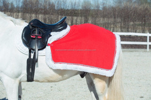 Disfraz de Caballo y jinete, disfraz de Papá Noel y Reno de Navidad - Product Image 4
