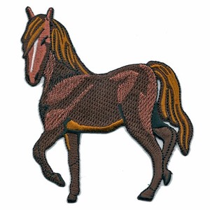 Patch brodé 3D thermocollant écologique Aigle, taille personnalisée - Product Image 5