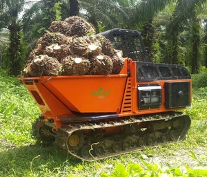 Miglior prezzo e buone condizioni Mini Dumper idraulico per tutti i terreni tecnologia innovativa che è privo di problemi e forte - Product Image 2