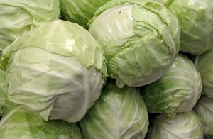 Bắp Cải Ngâm/Bắp Cải Mất Nước/Kỳ Nghỉ + 84-845-639-639 - Product Image 5