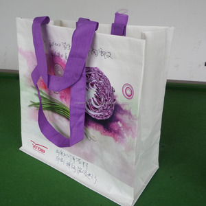 Bolsa de Compras Tejida de PP Hoaha+Evergreen+Daystar con Asas de Cinta de PP, 39x39x20cm, Color Personalizado, Hecho en Vietnam - Product Image 2