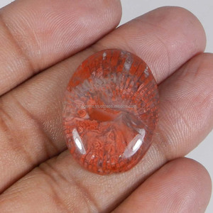 Natural Red Horn Coral Oval Cabochon 28x20mm 26,8 Cts Piedra preciosa suelta para joyería IG10909 - Product Image 1