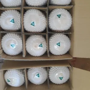 Fresh Young Coconut with Diamond cutting Shape- 7$ per carton from Vietnam - Ms: Holiday whatsapp: +84-845-639-639