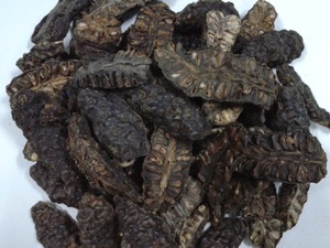 FRUIT DE NONI SÉCHÉ - Product Image 6