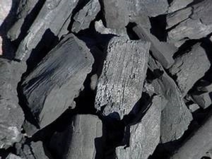 KUWAIT ISHBILIA CHARCOAL USE IN KEBAB RESTAURANT CHARCOAL WOOD CHARCOAL LUMP SHAPE CHARCOAL BARBECUE BBQ - Product Image 4