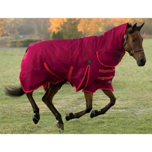 Couverture d'hiver pour cheval 1200D imperméable avec col, rembourrage 300gsm, couverture d'extérieur isolante très résistante - Product Image 2