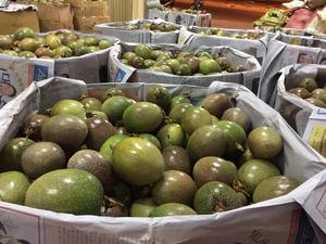 ราคาถูกสําหรับวันหยุดเสาวรสน - Product Image 3