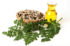 Huile de Moringa 100% pure, de qualité supérieure, pressée à froid, certifiée GMP, en provenance d'Inde - Product Image 4