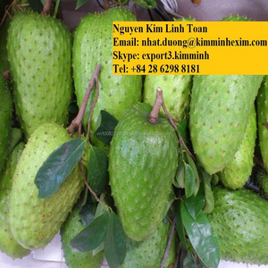 เกรด A สีเขียวสด Graviola ผลไม้ที่มีราคาถูก - Product Image 4