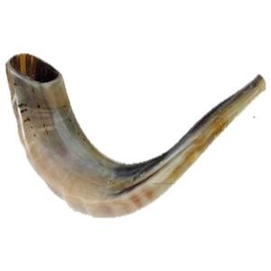 Venta al por mayor hecho a mano tendencia pulido Shofar hecho de cuerno de carnero artesanía natural característica regional Shofar fabricante - Product Image 1