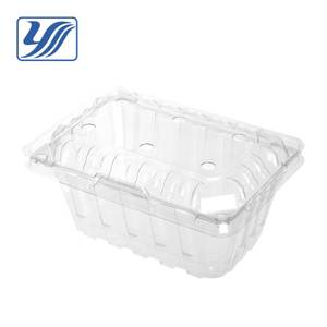 YS YS-04B Contenant alimentaire en plastique transparent extrudé PET PLA avec couvercle pour fruits - Product Image 4