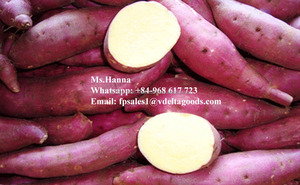 Nueva cosecha de batatas de gran tamaño excelente calidad cultivadas en Vietnam - Product Image 3