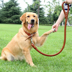 Laisse de luxe en cuir tressé solide pour animaux de compagnie en laiton avec mousqueton en nylon véritable pour petits chiens de taille moyenne pour l'entraînement à la marche - Product Image 5