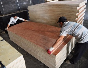 Espesor, alta calidad, gran cantidad de madera contrachapada para construcción - Product Image 1