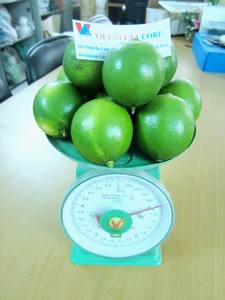 Prix chaud pour du citron vert frais, pas de noix avec TOM de bonne qualité - Product Image 6