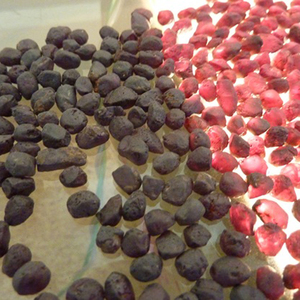 
 
 
 Pierres précieuses en grenat rose violet naturel, rondes de 10 à 12 mm, provenance indienne |   Certifié par des tiers |   Prix compétitif |   Pour Juifs - Product Image 2