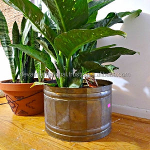 BRASS <b>GARDEN</b> DECORATIVE PLANT POT - Product Image 6