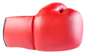 Gants de boxe en cuir de haute qualité avec sangle réglable à boucle et crochets, unisexe, service OEM, personnalisable - Gants de boxe du meilleur matériau - Product Image 5