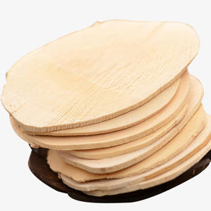 Raíces de Tongkat Ali-Extracto de Tongkat Ali - Product Image 1