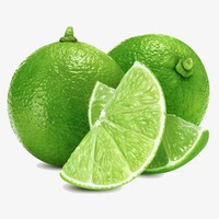 LIME SANS GRAINES FRAÎCHES À VENDRE 2020