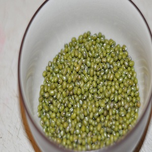 Haba Moong / Mung de calidad superior de la India con alto contenido de proteínas y nutrientes. Gramo mungo de calidad exportado - Product Image 4