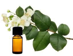 Diffuseur d'aromathérapie à ultrasons d'huiles essentielles de qualité cosmétique pure OEM 100% avec odeur naturelle de marque privée - Product Image 6