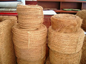 เส้นใยมะพร้าว/เชือกมะพร้าว คุณโซฟี - Product Image 5