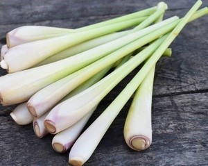 ตะไคร้แช่แข็งขายดี - Product Image 4