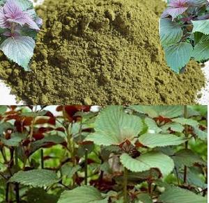 ผง SHISO-PERILLA คุณภาพดีที่สุด - Product Image 2
