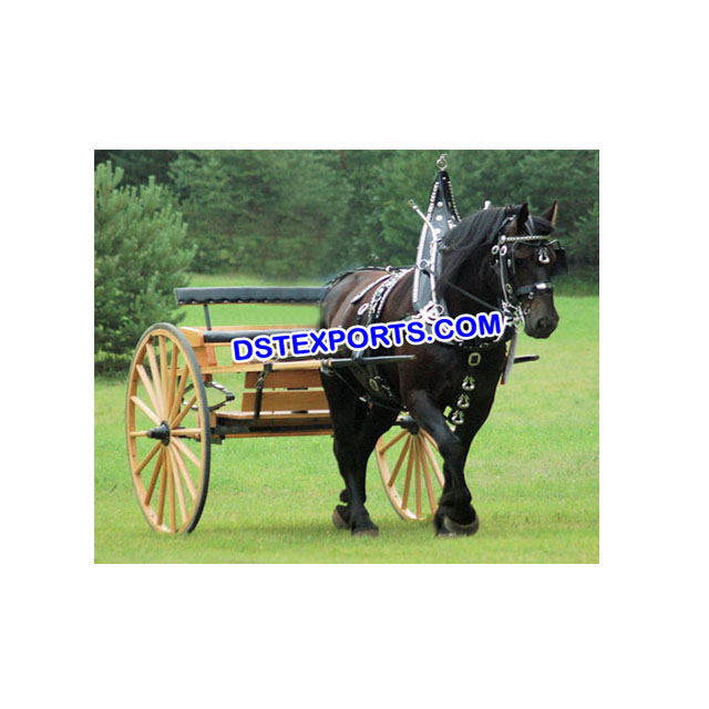 二輪馬車 結婚式＆コンサート用 耐久性のある金属と木製の馬車メーカー