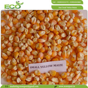 Maïs/maïs - Product Image 4