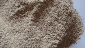 RICE HUSK POWDER/ RICE HUSK GRIND FOR ANIMAL FEED ORIGIN VIET NAM( WHATSAPP : +84-907 377 828 ) - Product Image 5