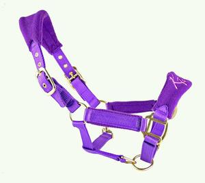 Halter cheval polaire élégant en différentes couleurs en matériau PP - Product Image 4