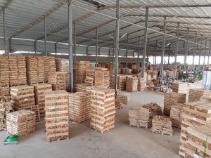 Bois pour palette Bon prix-Ms Sigrid - Product Image 5