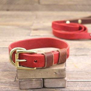 Collier et laisse pour chien de compagnie avec Logo personnalisé, couleur unie classique, WDS-0072 - Product Image 1