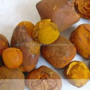 100% whole Ox and Cow Gallstones for sale