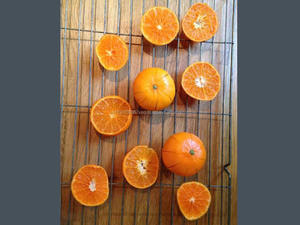 Tranches de fruits d'orange séchés - Tranches d'orange séchées de qualité supérieure en provenance du Vietnam - Product Image 6