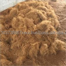 2020 fibre de noix de coco fibre de noix de coco à vendre au Vietnam fibre de coco brute durable pour la filature tissée et le remplissage - Product Image 2