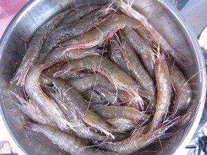 Camarones Vannamei Congelados Premium de Vietnam, IQF, Camarones de Pata Blanca |   Proveedor Mayorista de Exportación VietDelta |   Mr.Tom con 1 Año de Vida Útil - Product Image 3
