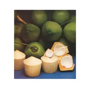 PROVEEDOR COCO EN FORMA DE DIAMANTE CON BUENA CALIDAD - Product Image 1