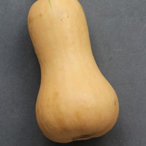High Quality Fresh <b>Pumpkin</b> Available <b>for</b> <b>Sale</b>-ISO Certified South Africa Origin - Product Image 5