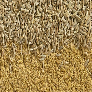 5กิโลกรัม10กิโลกรัม15กิโลกรัม20กิโลกรัมถุงกระดาษพลาสติกราคาที่ดีที่สุดของ99% สิงคโปร์ยุโรปคุณภาพเมล็ดยี่หร่าใช้สำหรับการปรุงอาหารบรรจุภัณฑ์ - Product Image 3