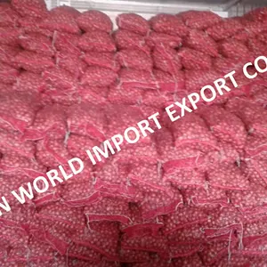 HIGH QUALITY DRIED RED ONION FROM VIETNAM