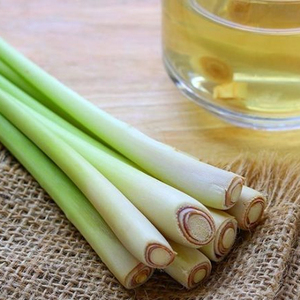 เสนอตะไคร้แช่แข็งด้วยราคาที่ดีที่สุด - Product Image 1