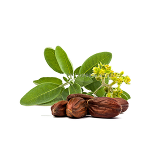 Aceite de jojoba líquido prensado en frío de alta calidad Aceite esencial de grado cosmético Certificado GMP Origen de EE. UU. Fabricante de confianza puro - Product Image 2