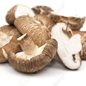 SEDA SHIITAKE MUSHROM DE VIETNAM-mejor precio-Alta calidad - Product Image 1