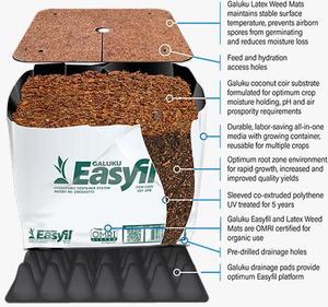 Easyfil ถุงปลูกพืชสองใบ - Product Image 1