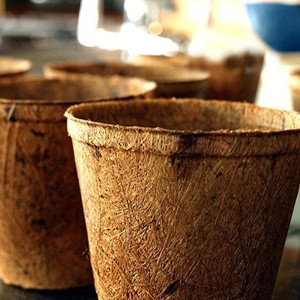 Pots de jardin, pots à fleurs, pots en coco pour la maison en Asie - Product Image 1