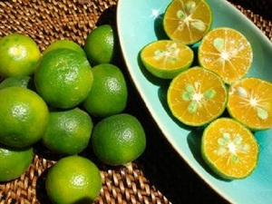 Frais/congelé/séché KUMQUAT JUICE concentré/Calamansi - Product Image 2