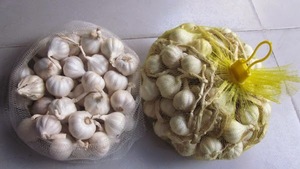 WHOLESALE DRIED <b>GARLIC</b> - High-quality Dried <b>Garlic</b> From Vietnam - Product Image 2
